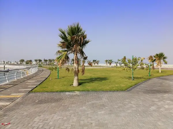 HASABI DEVELOPMENT PROJECT