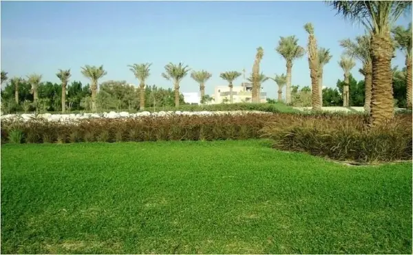 Gudaibiya Palace Completion Works