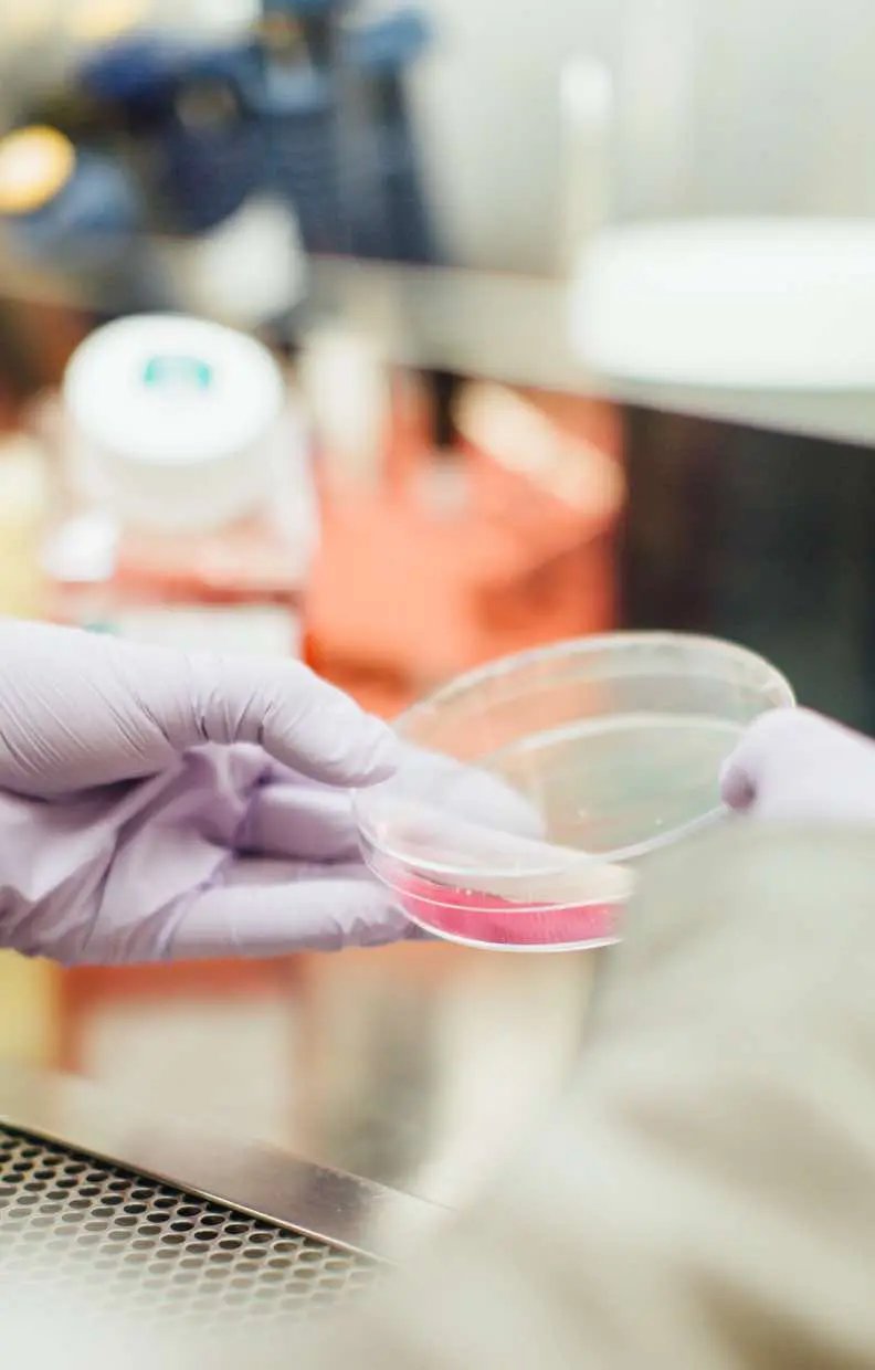 Master of Public Health (MPH) – University of Essex Online