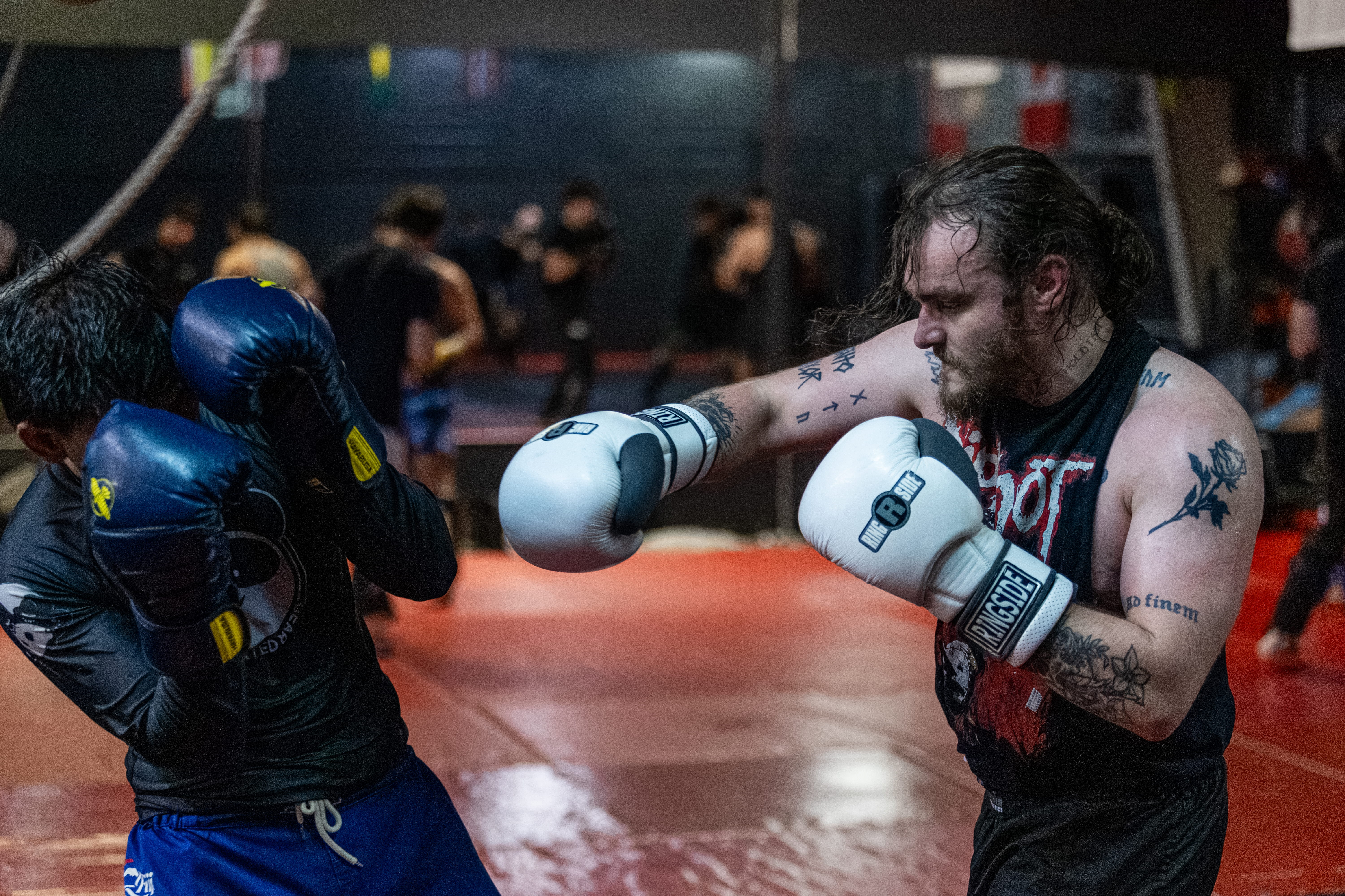 Live Striking & Defense