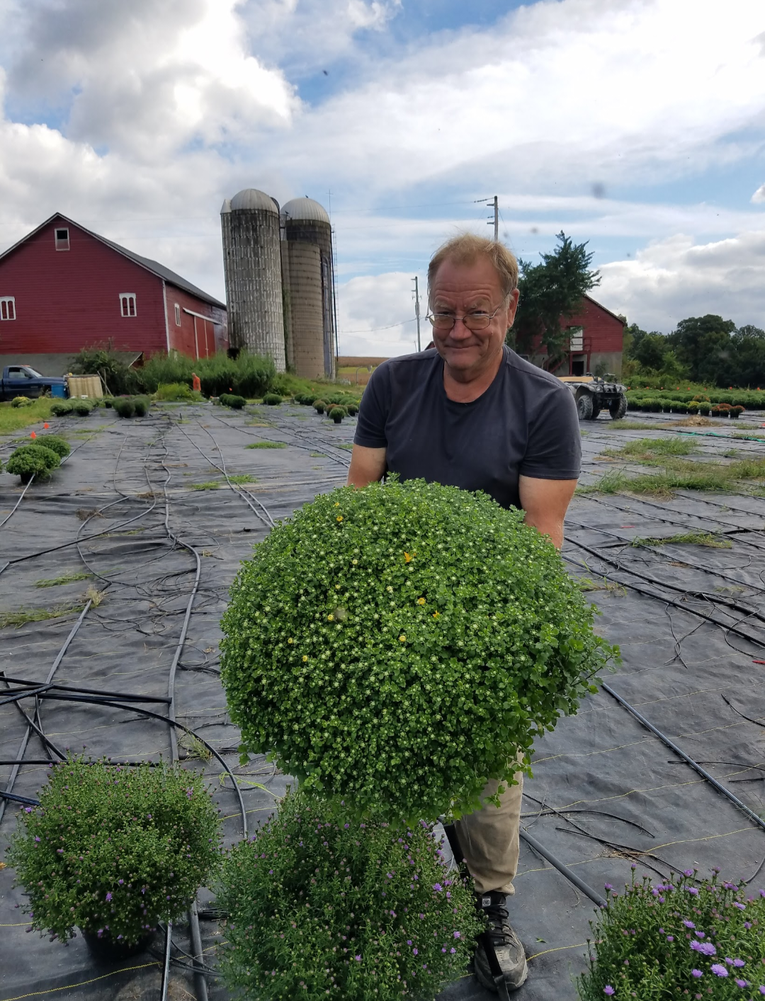 Trees, Shrubs & Starts