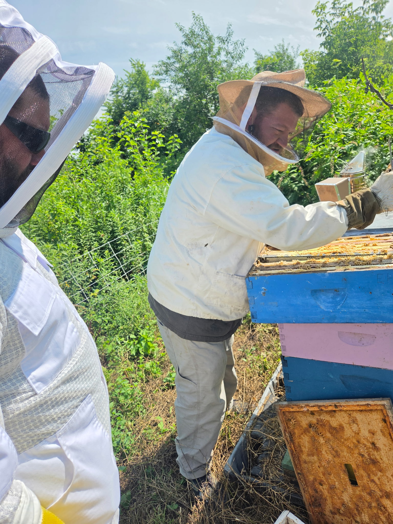 Beekeepers tending hives at Heinsohn Farms in Bangor, Pennsylvania