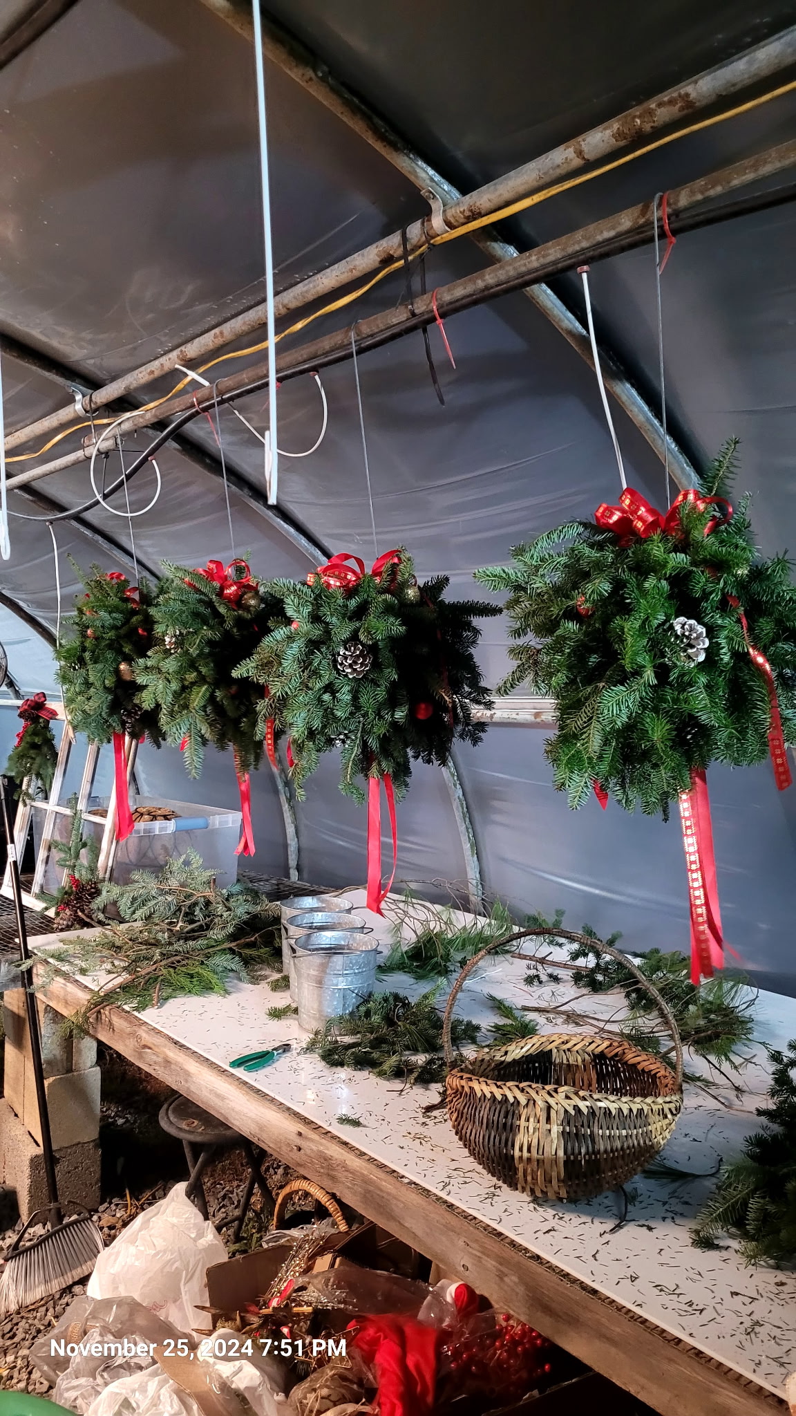 Old German Christmas Greens
