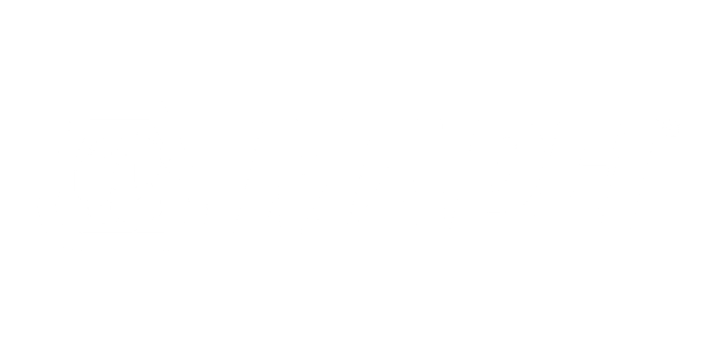 Mapei adhesives, sealants and chemical products for building logo