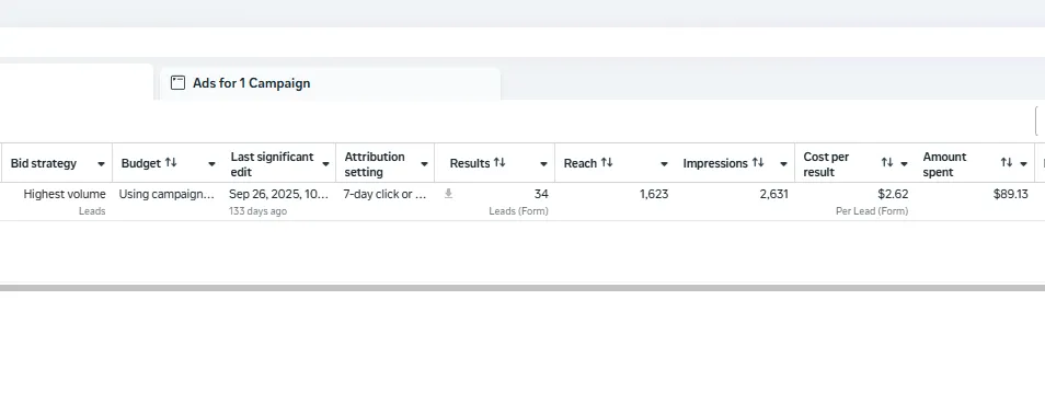 Meta ads campaign results: 34 leads at $2.62 per lead
