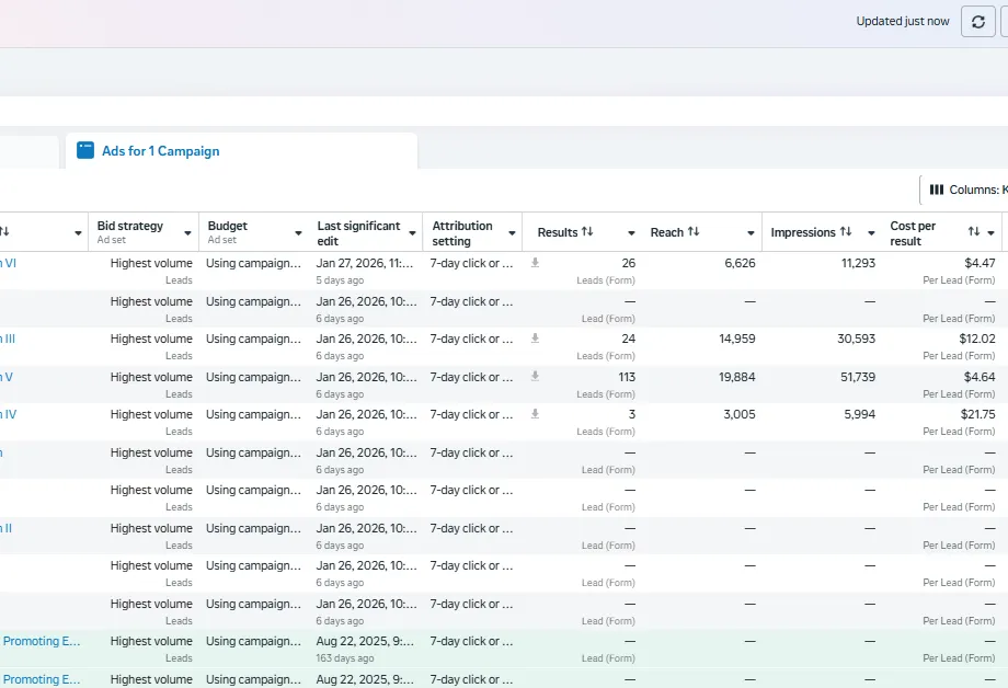 Meta ads manager ad set breakdown: 113 leads, 26 leads at $4.47, 24 leads at $12.02