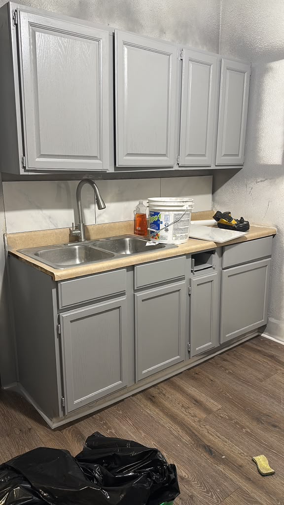 Kitchen cabinets and sink remodeling