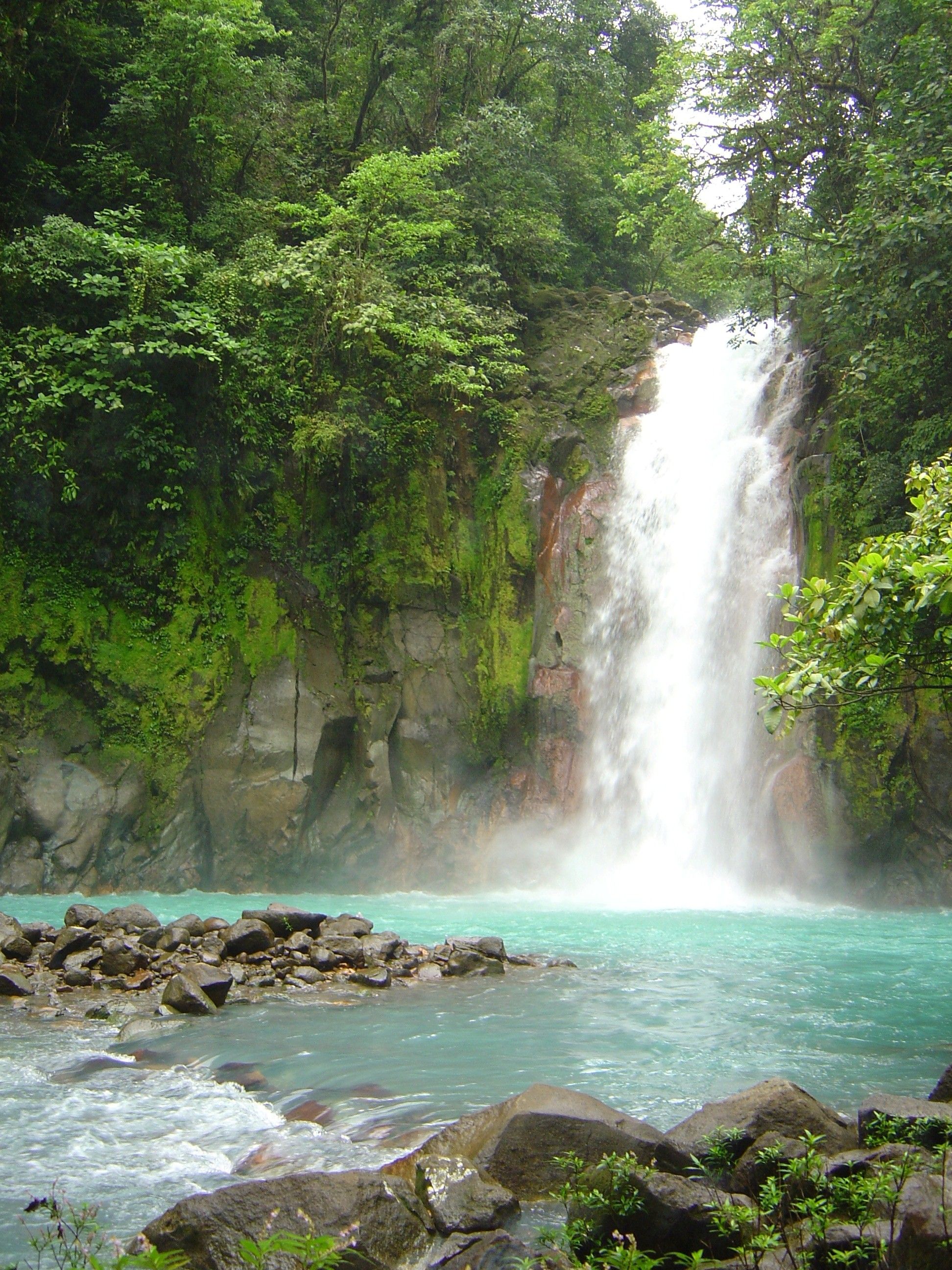 A tall rainforest waterfall plunging into a mountain pool surrounded by lush jungle