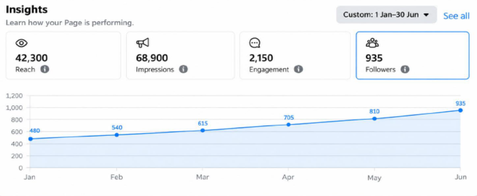 Facebook Page Insights live account screenshot