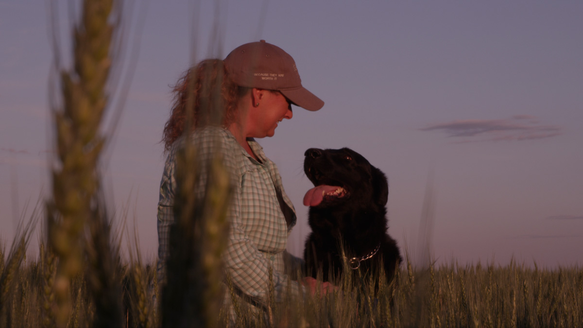 Trainer with black dog in wheat field