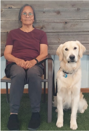 Owner seated beside well-behaved Golden Retriever