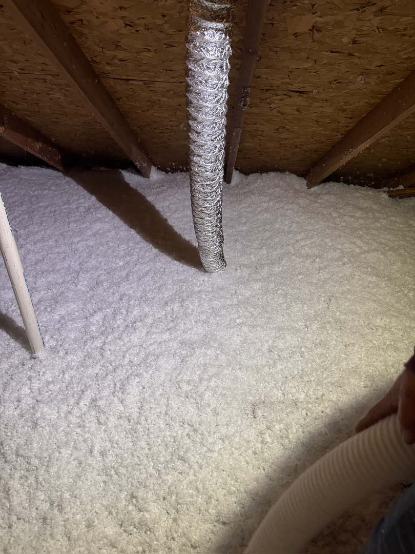 Insulation Removal Services