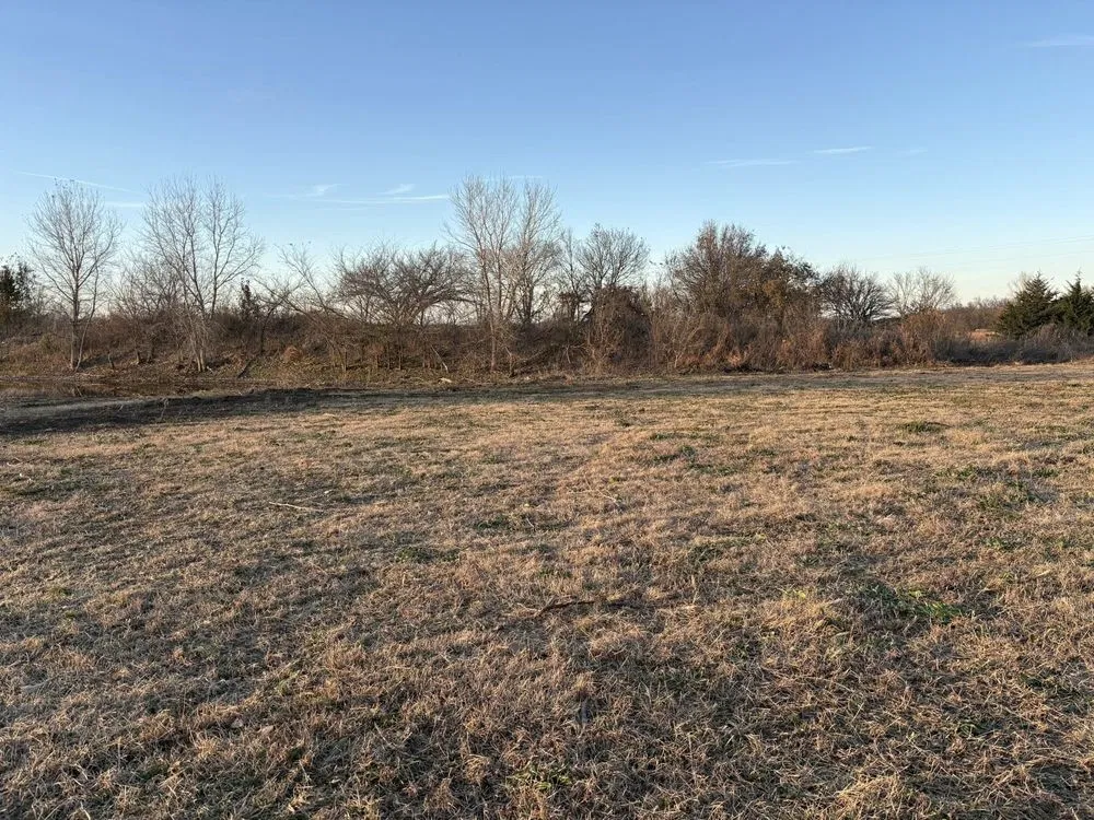 Cleared open ground in front of a tree line