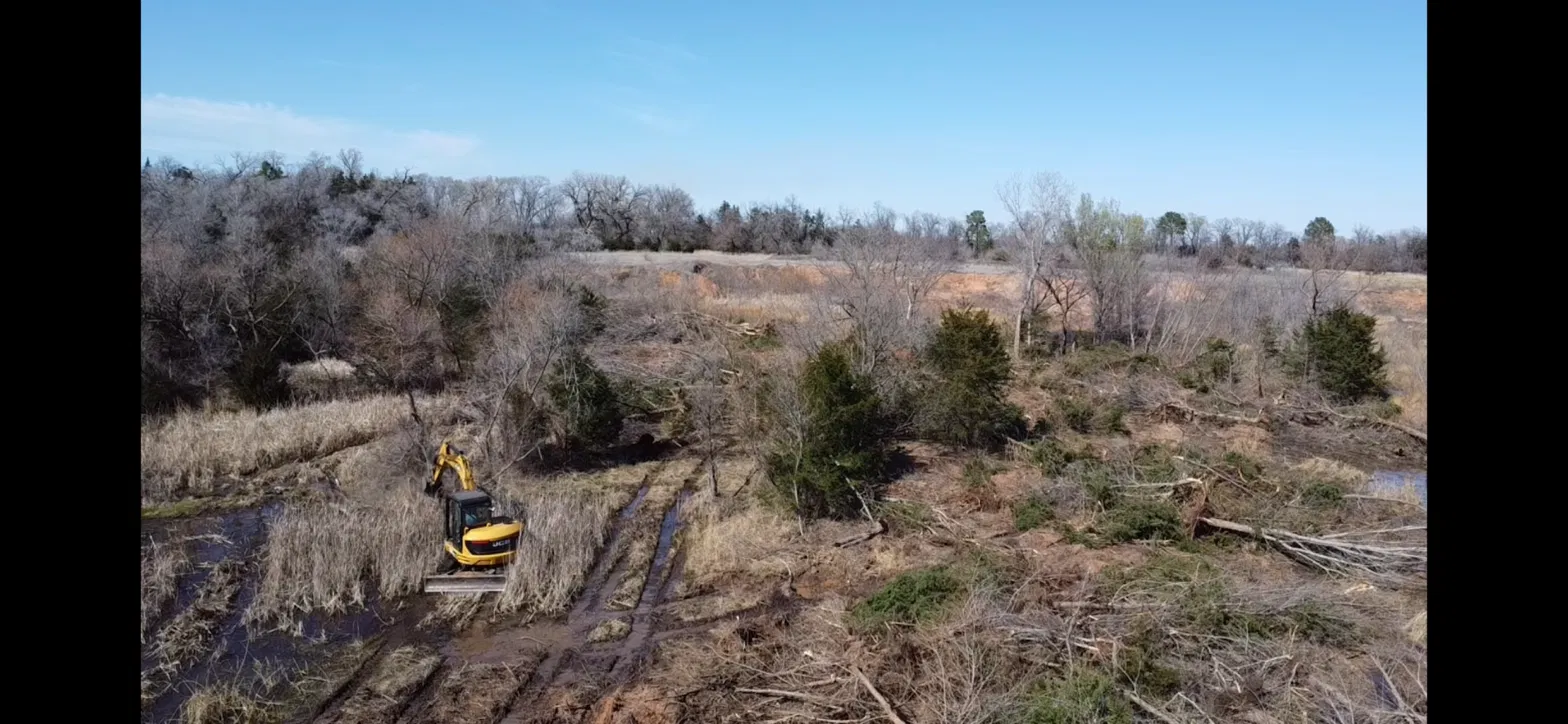 Excavator clearing brush and cedar trees from overgrown land