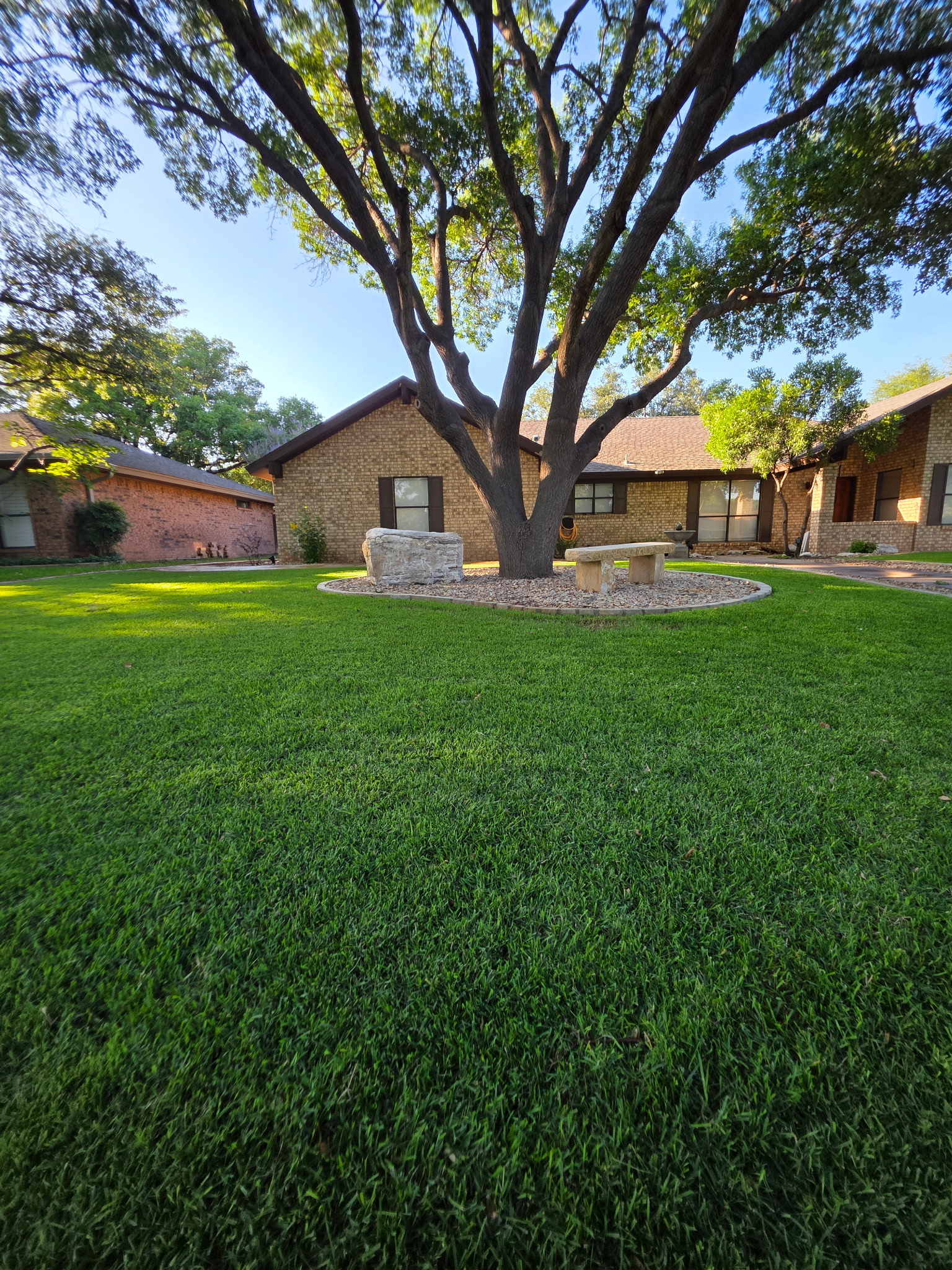 maintained residential front lawn with large mature tree, stone landscape bed and seating bench