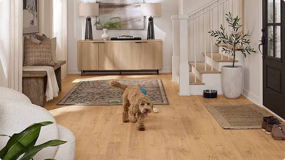 The best flooring for pets in East Texas