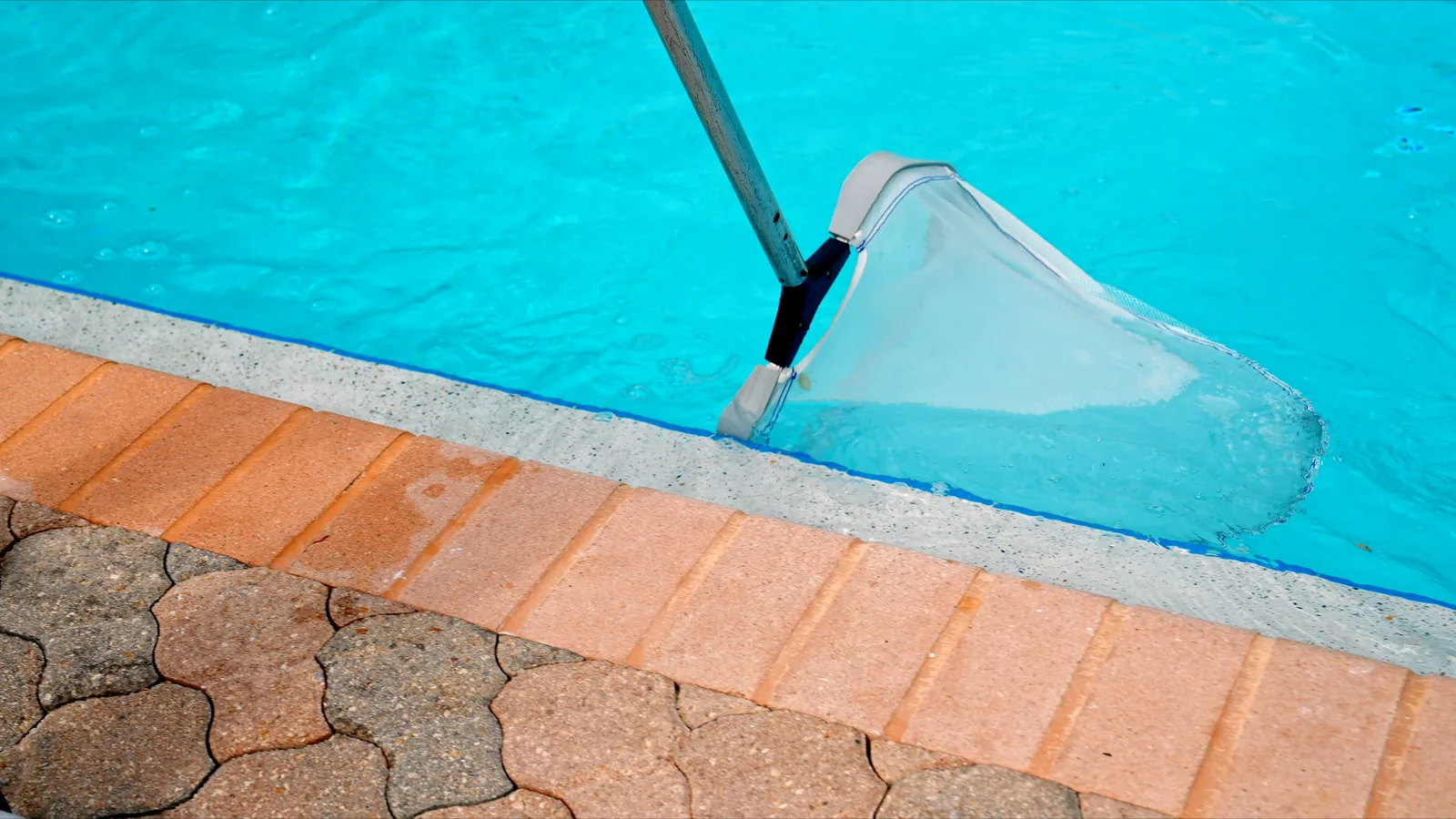 Leaf net skimmer cleaning surface debris along pool coping and waterline tile