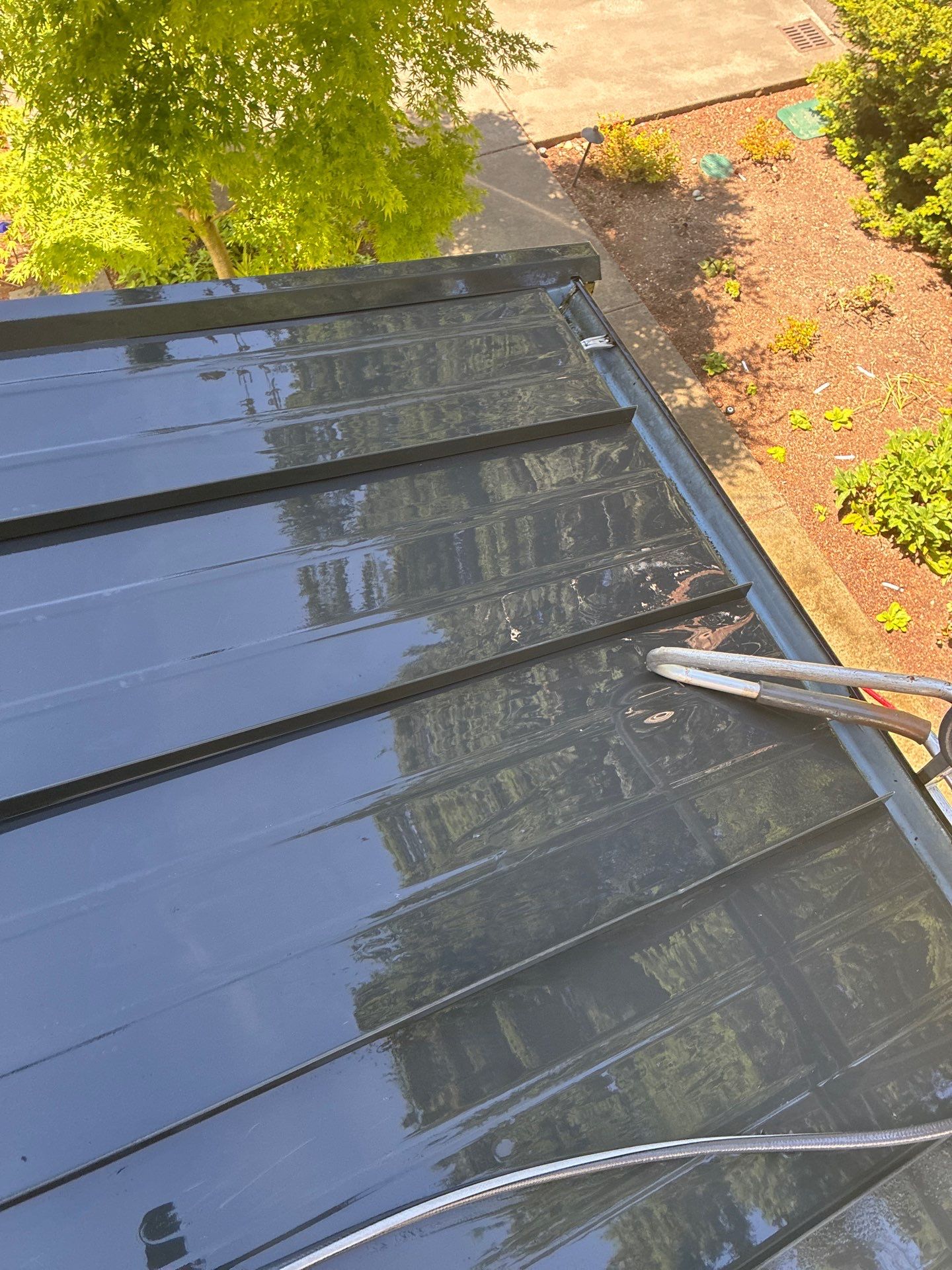 Clean standing seam metal roof reflecting tree canopy, with immaculate gutter channels and downspout drainage