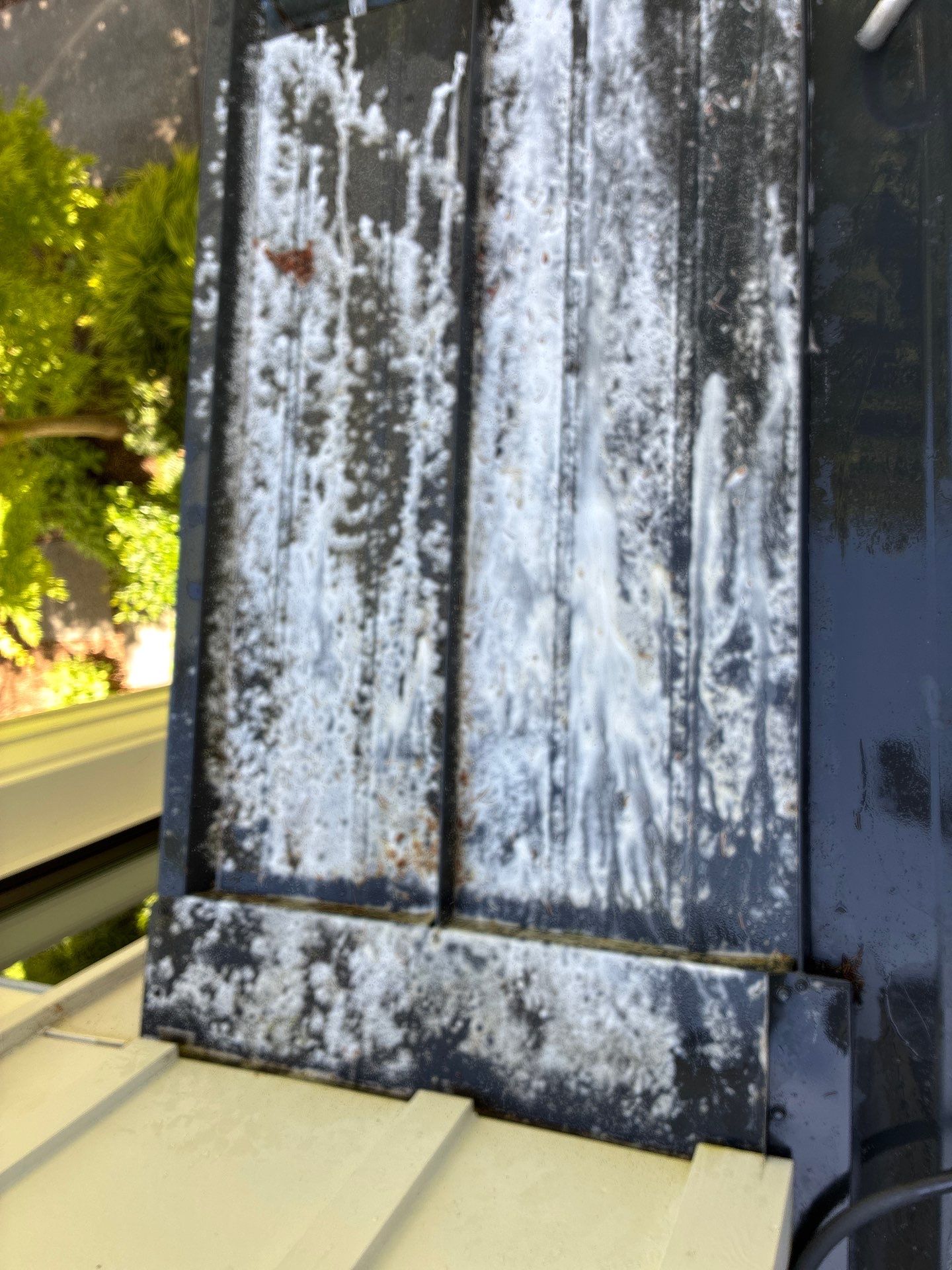 In progress soft wash foaming treatment lifting built-up oxidation and biological film from metal roof panel
