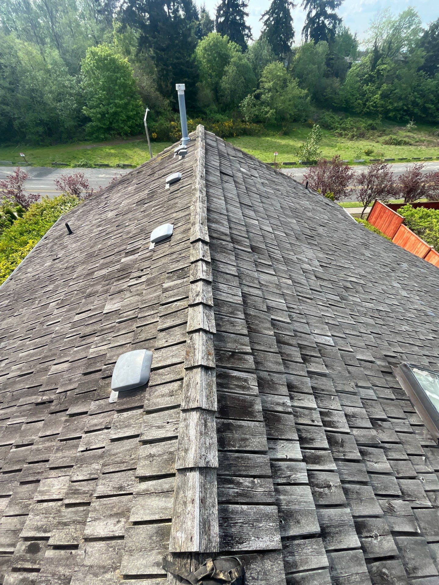 Before cedar shake restoration — gray weathered shakes with heavy UV and organic moisture exposure