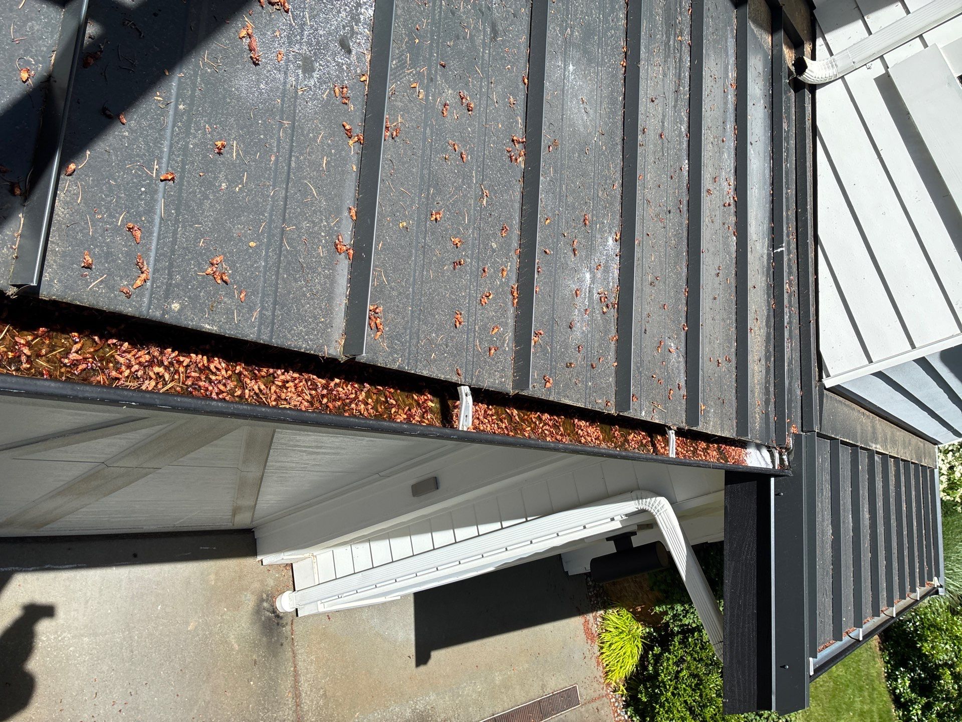 Before standing seam metal roof and gutter cleaning — gutters choked with decomposing leaf mulch and pine needles