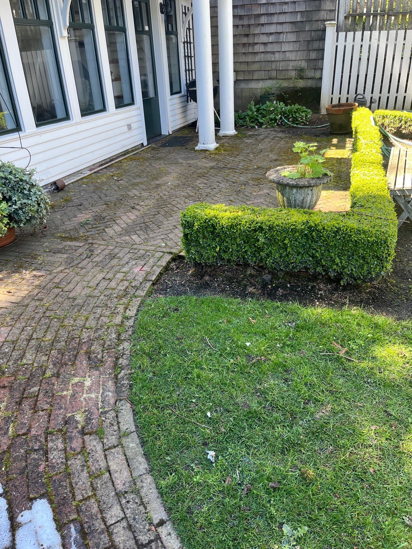 Before pressure washing — brick paver courtyard and curving walkway heavily overgrown with slippery moss and soil