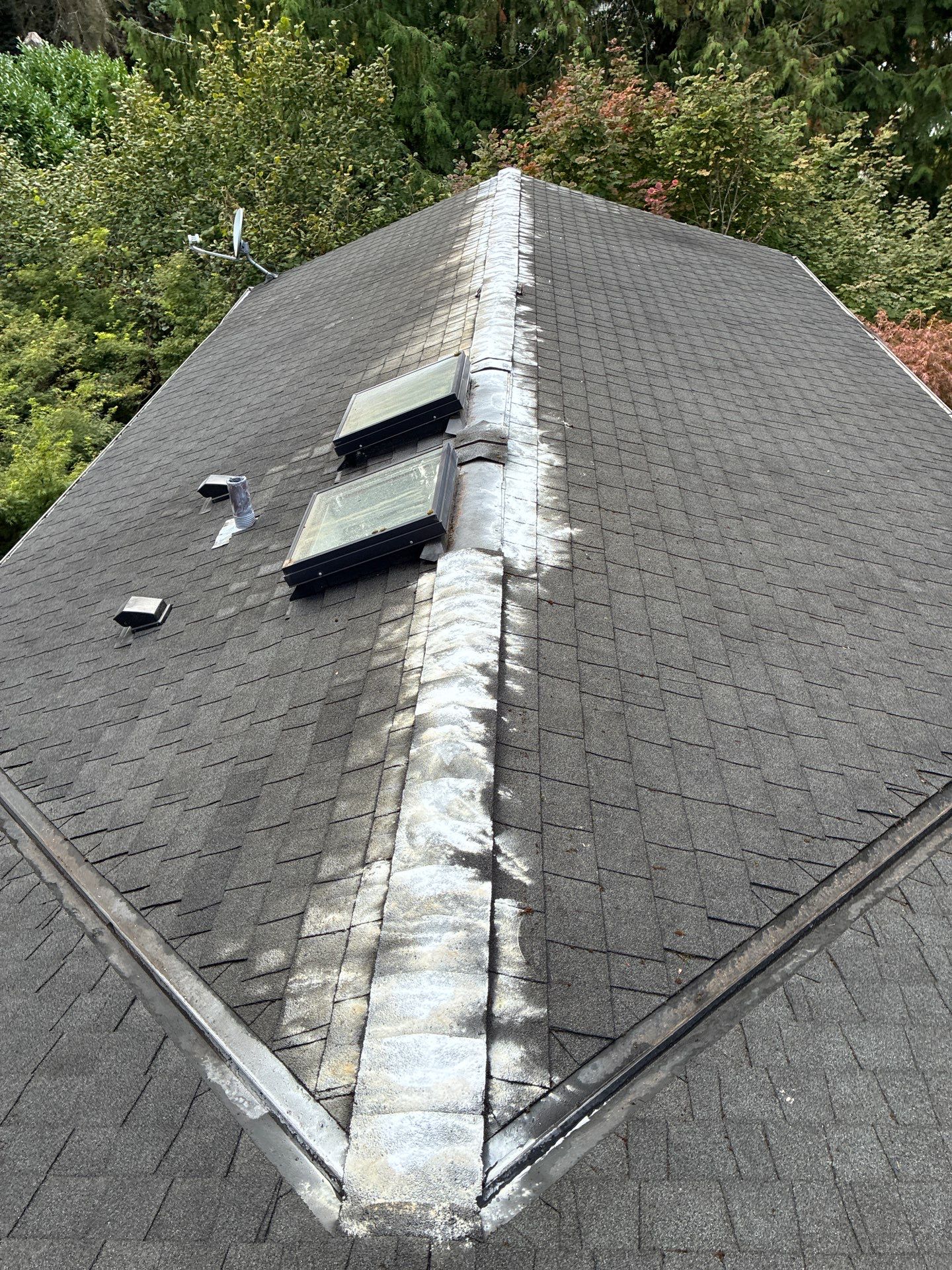 After roof moss treatment — clean shingles, ridge cap treated, valleys cleared