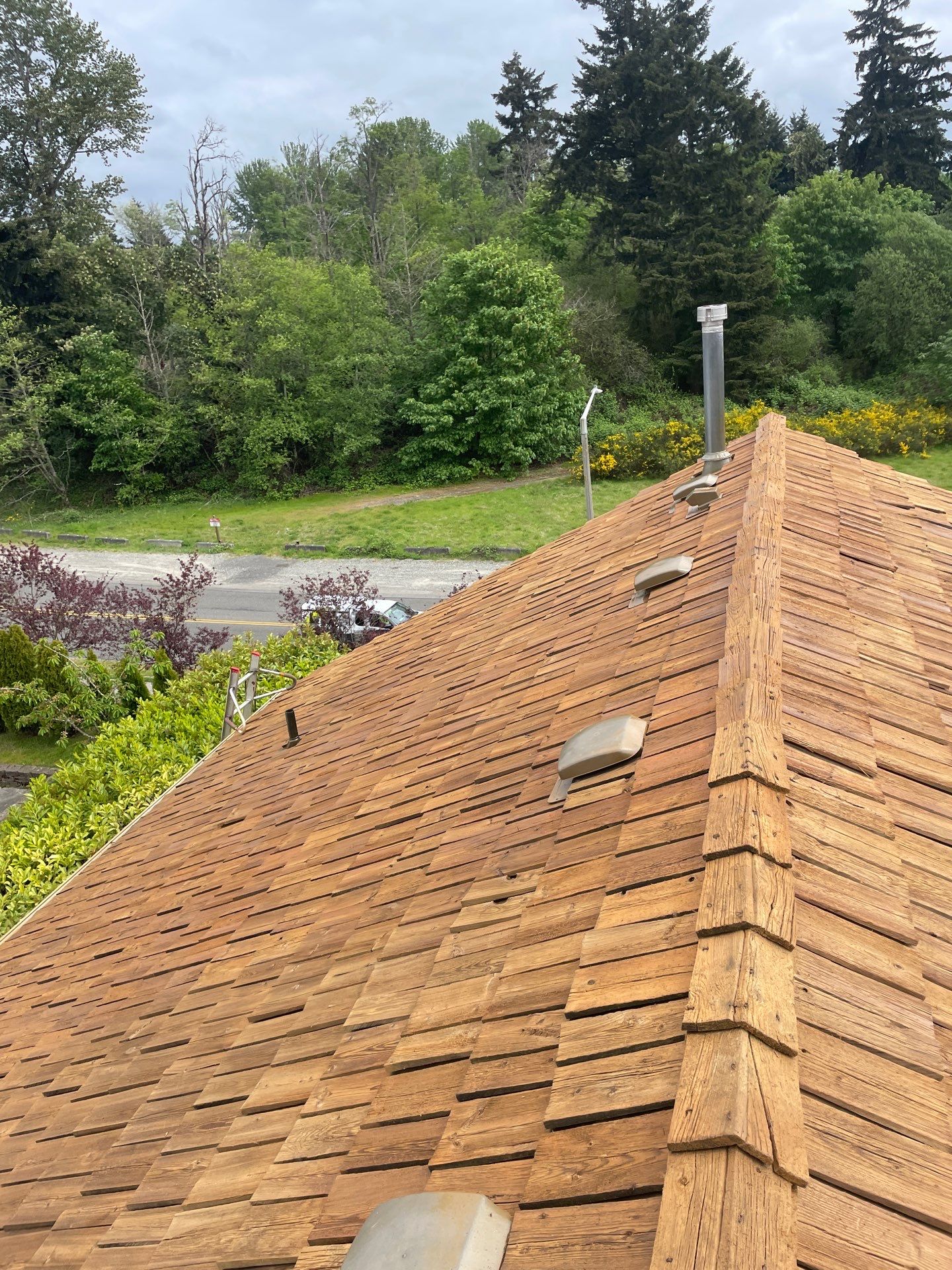 Fully restored golden amber cedar shake roof with renewed ridges and moss-resistant treatment