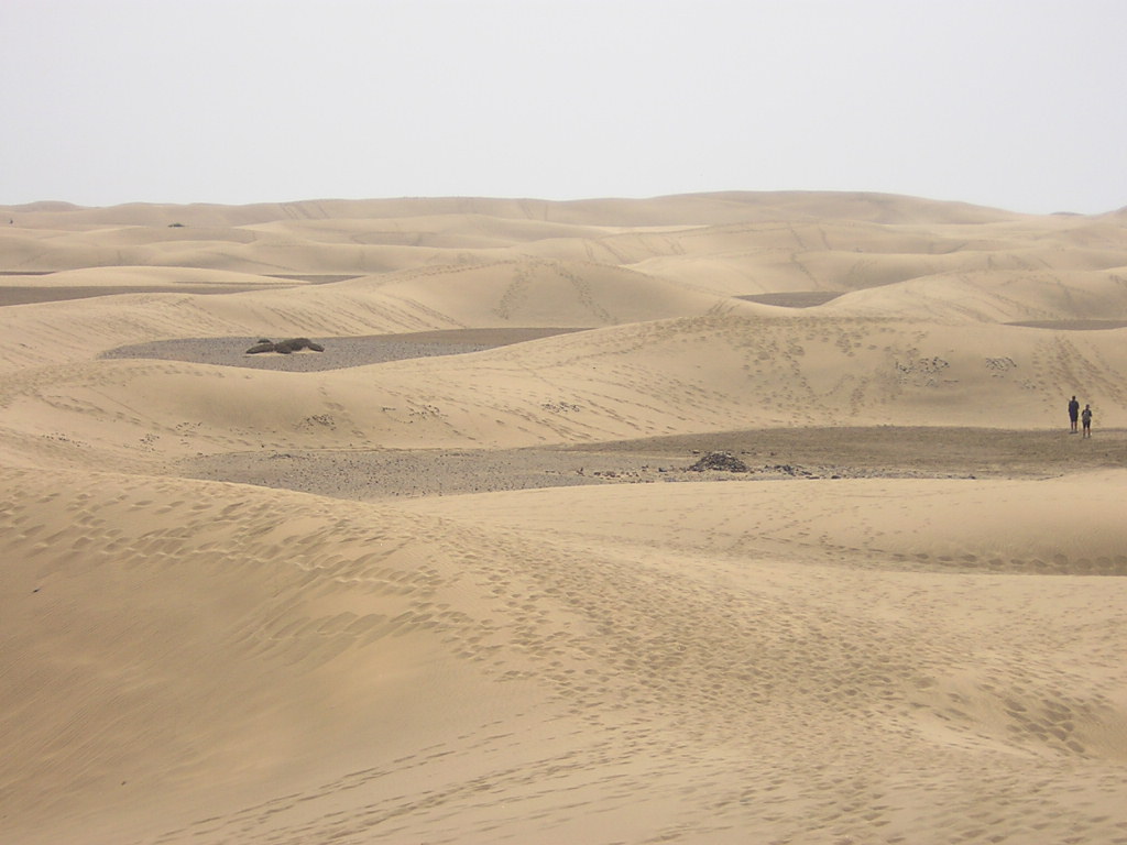 Ondulaciones de arena dorada en la Reserva Natural Especial de las Dunas de Maspalomas bajo el cielo atlántico