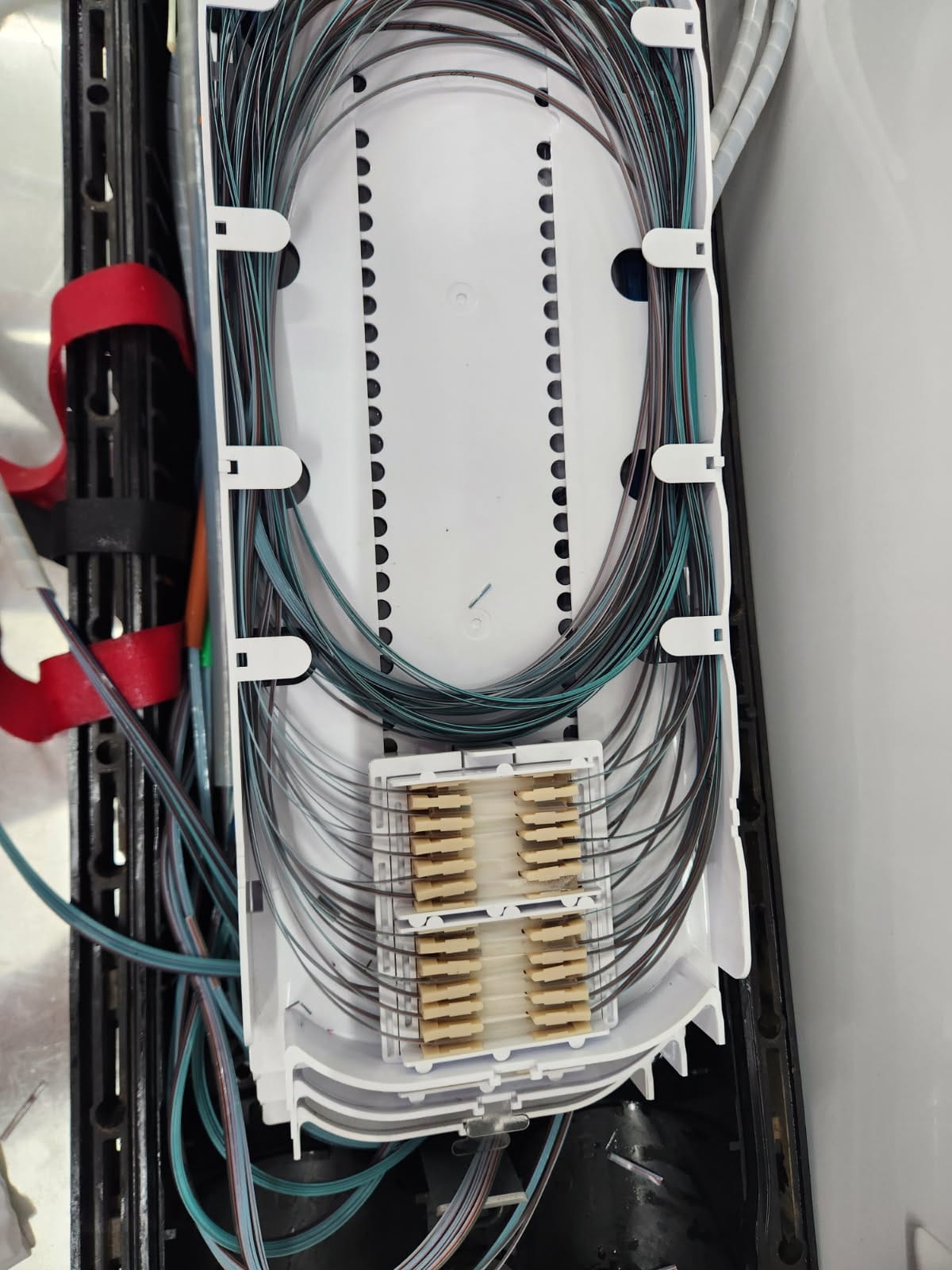Organized fiber optic splice tray showing uniform fiber routing and fusion protection sleeves