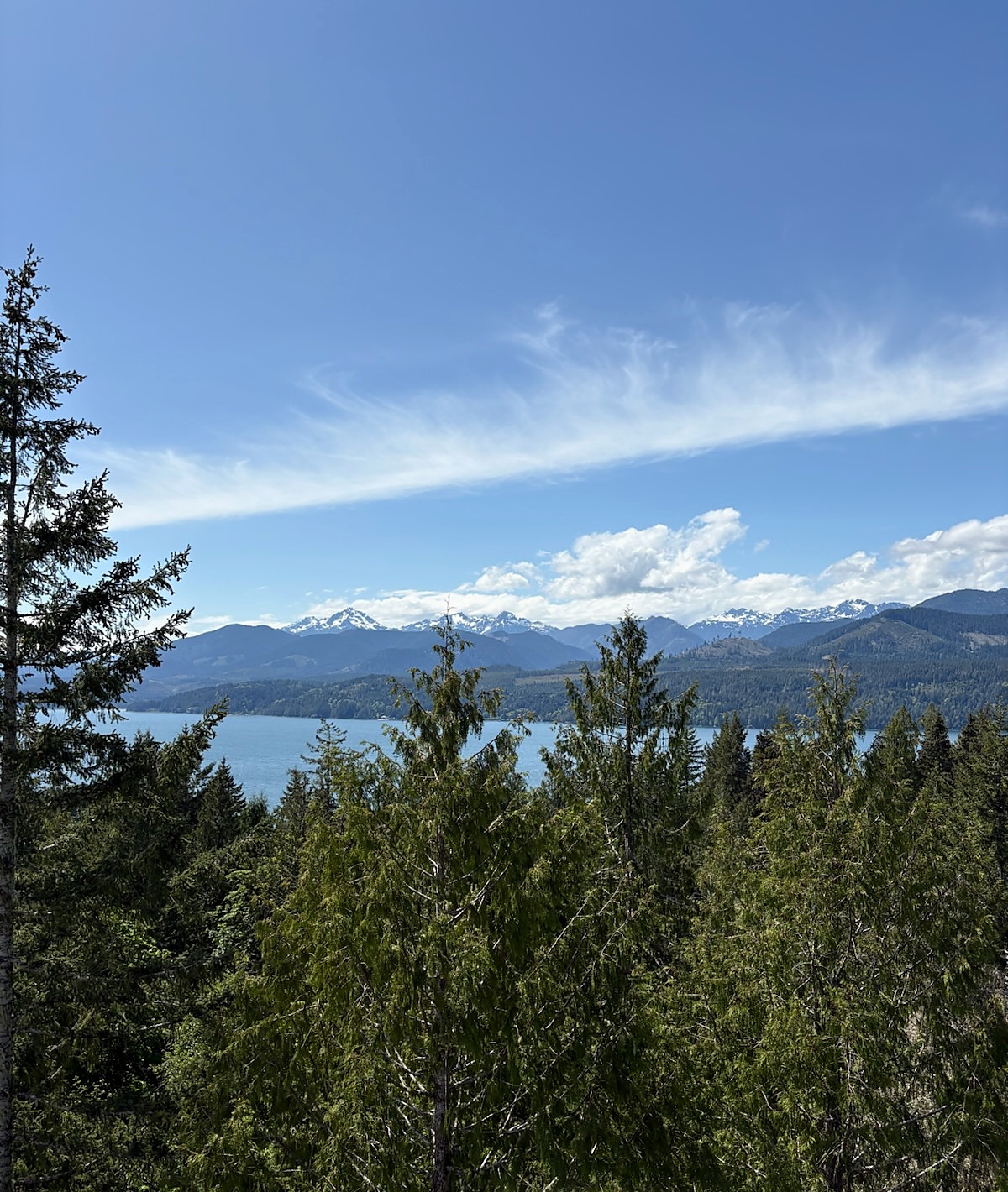 View over evergreen treetops to the water and snow capped mountains
