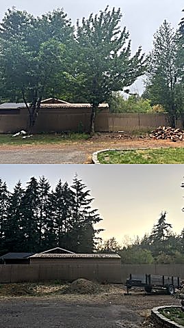 Before and after photos of trees removed from along a fence beside a driveway