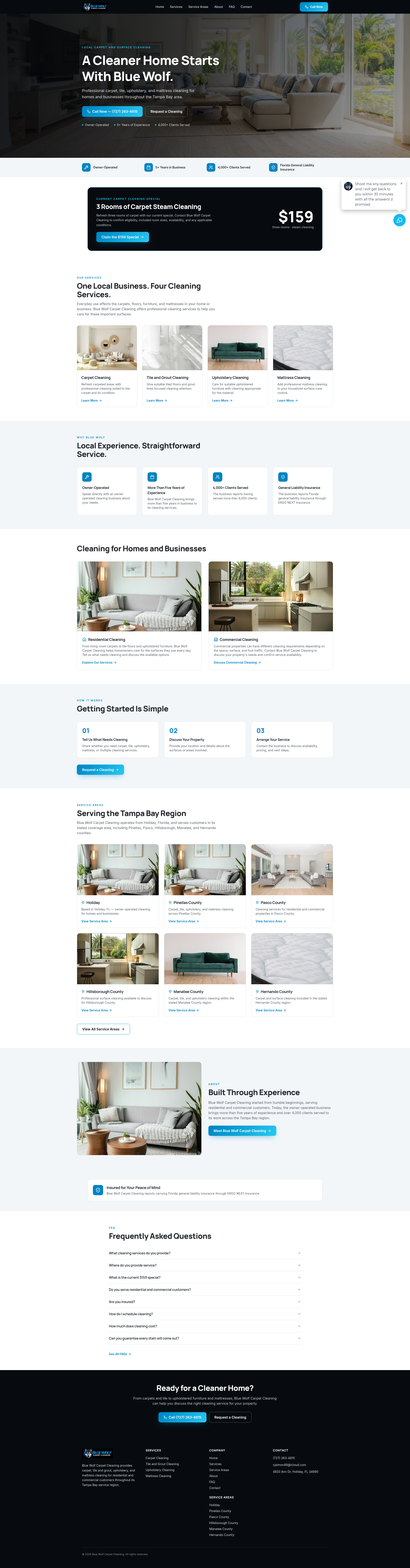 Blue Wolf Carpet Cleaning website — Carpet & Surface Cleaning
