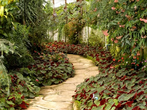 Landscaping and property grounds improvements