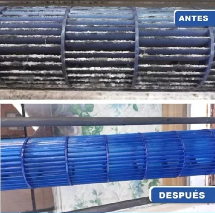 Service y Limpieza de Turbina