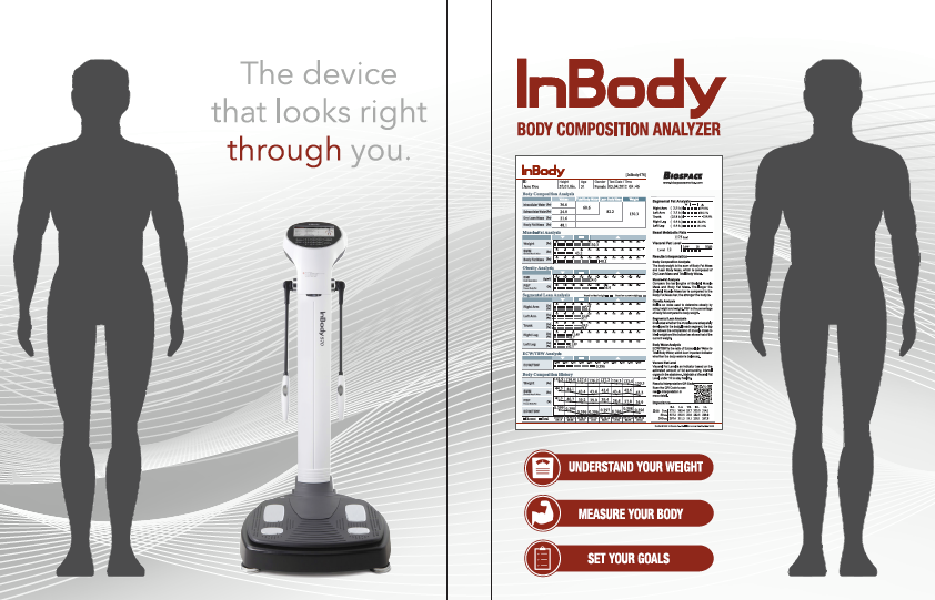 InBody Body Composition Analyzer diagnostic results sheet