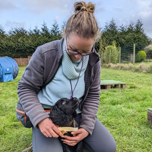 A trainer working with a puppy on a training exercise indoors