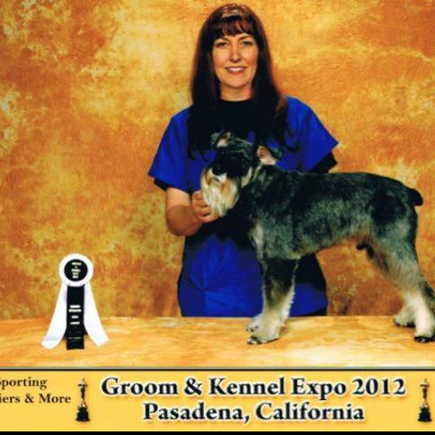 Happy groomed pet