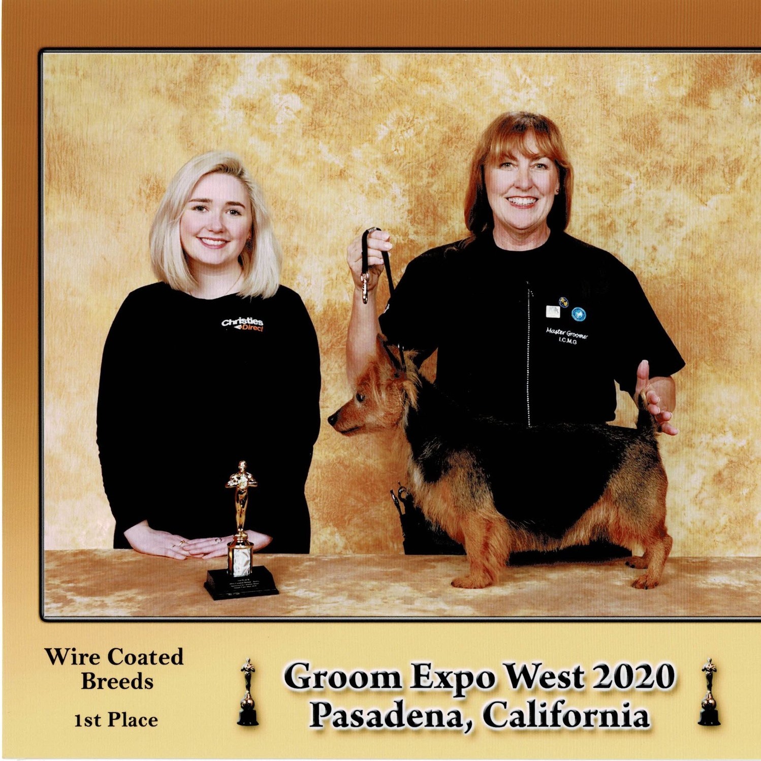 Groomed dog