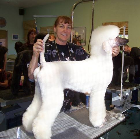 Mobile pet grooming