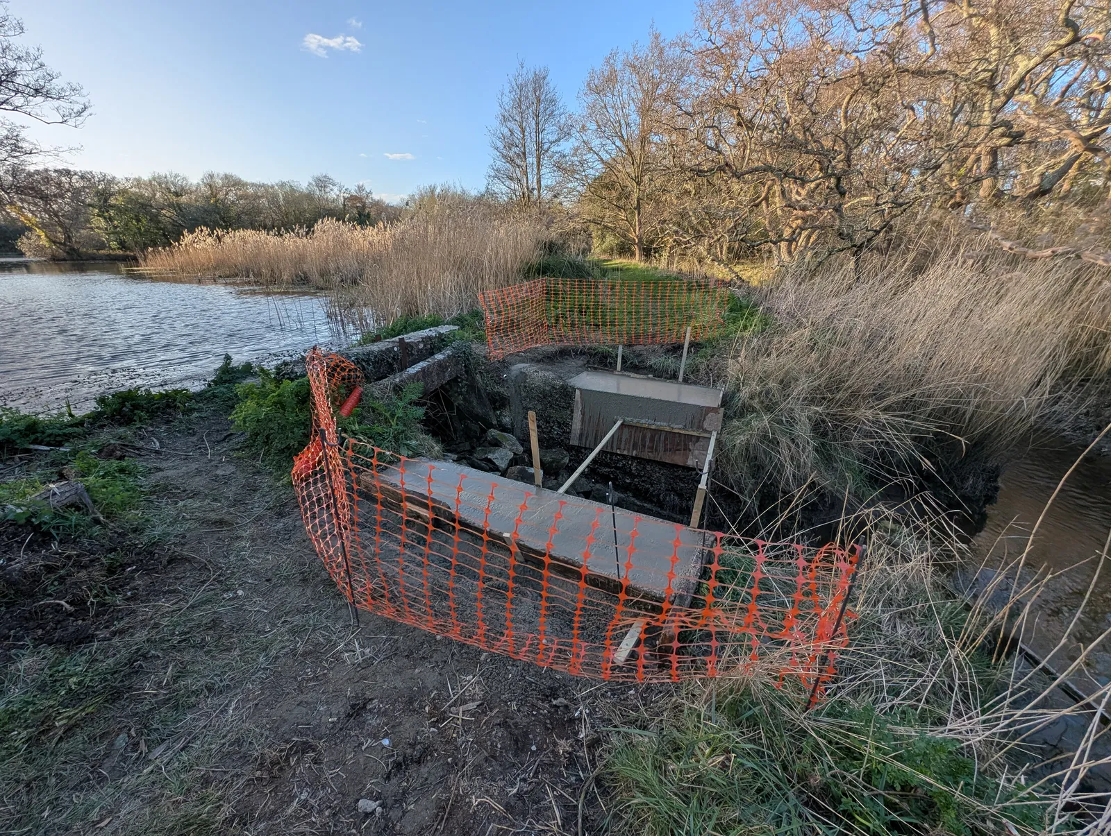 The Bridges at Pylewell Lakes, heritage bridge restoration — the timber structure taking shape