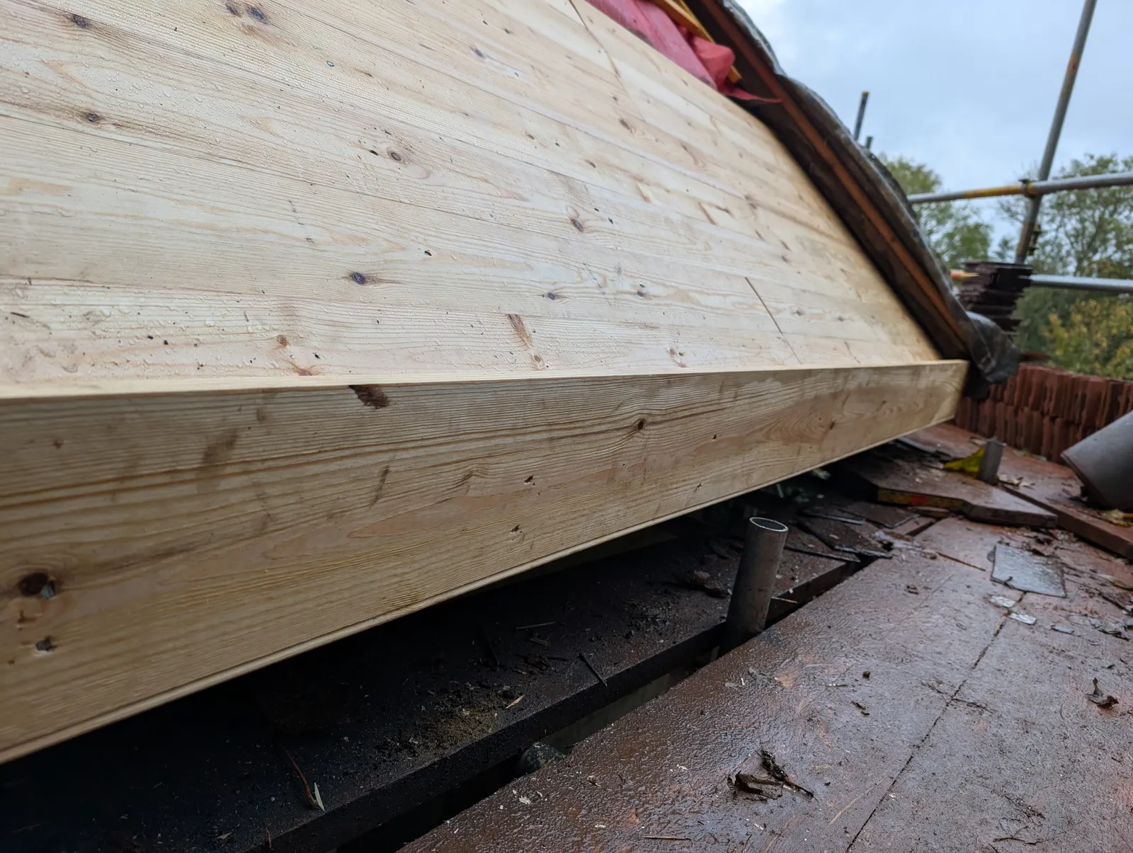 The Dairy at Pylewell Park, historic outbuilding refurbishment — curved tiled ceiling