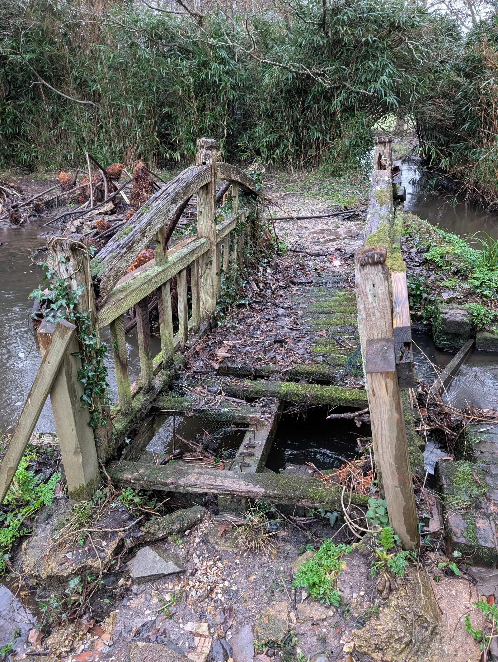 The Bridges at Pylewell Lakes, heritage bridge restoration — the timber structure taking shape