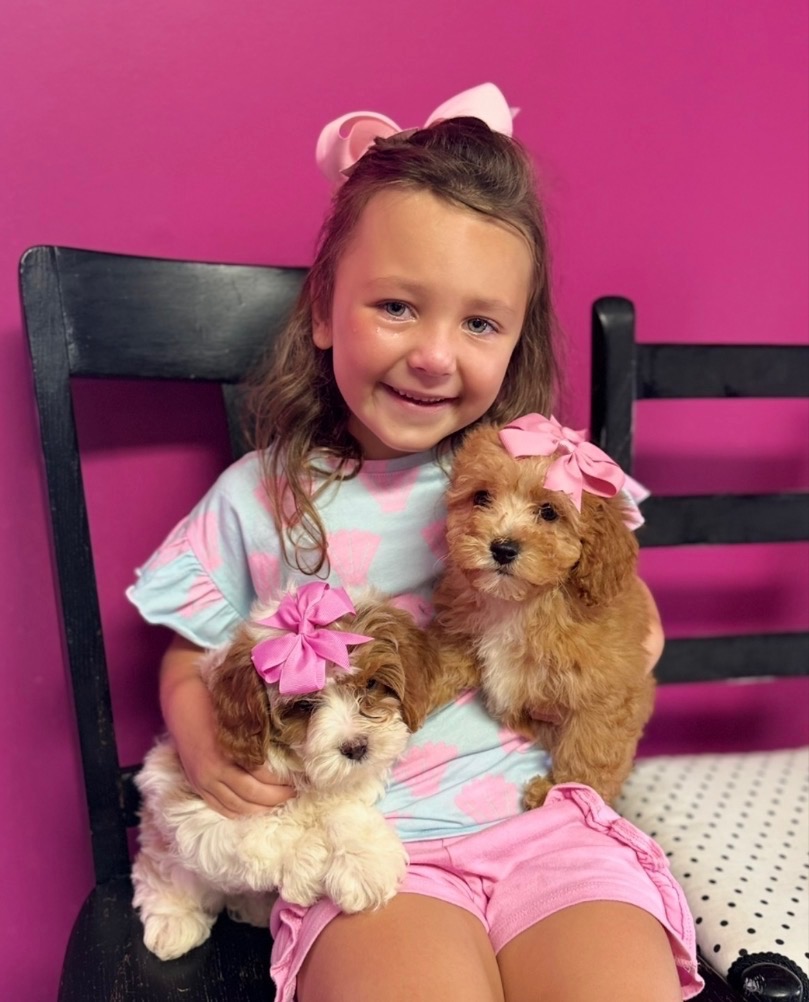 Family love and care — young girl holding two sweet puppies with pink bows