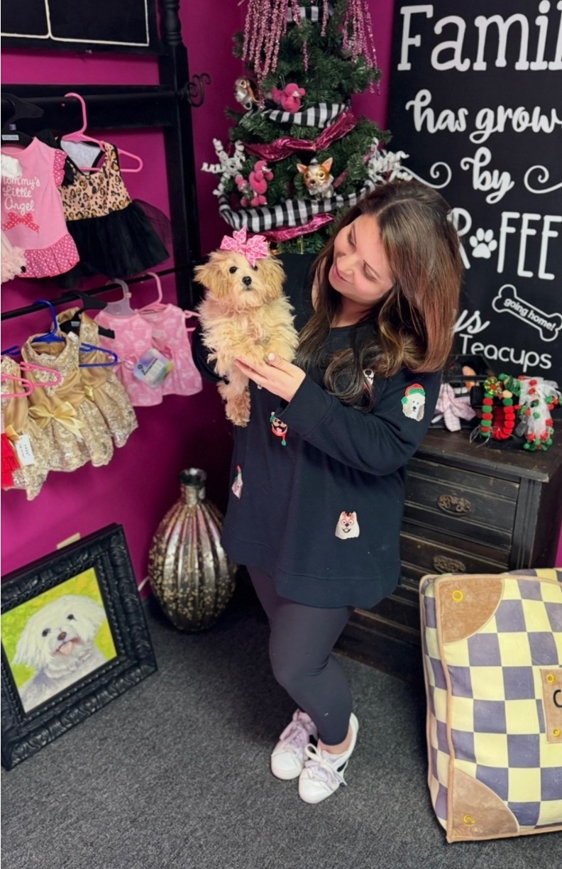 Inside Toys and Teacups Boutique in Arab, Alabama — loving care for every puppy