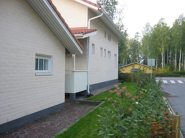 Villisika - kuva 4
