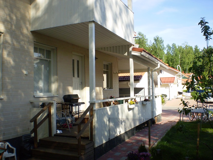 Villisika - kuva 2