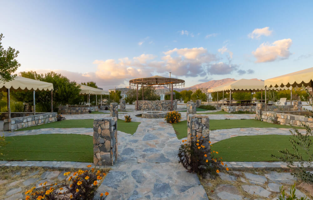 Resort garden and olive trees