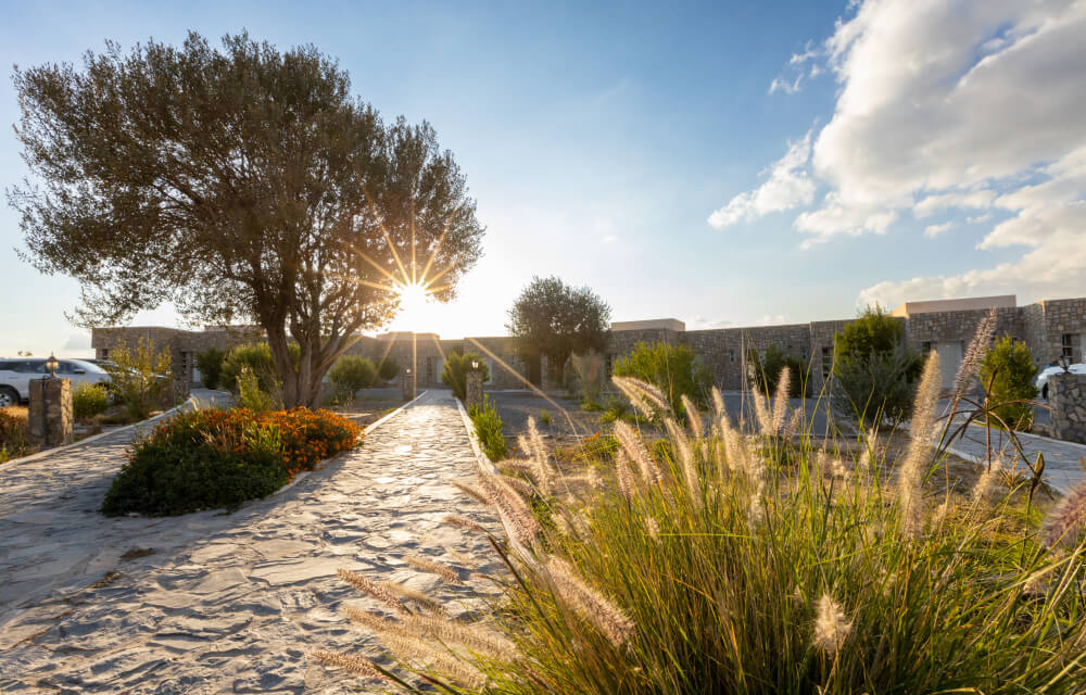 Resort gardens with mountain background