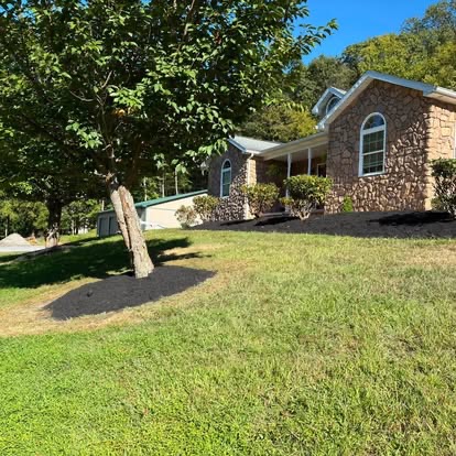 Front Yard Tree Mulch Ring & Lawn Cleanout after